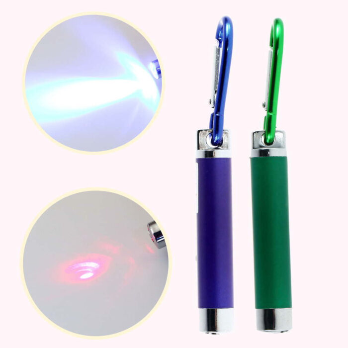 Mini FlashLight Torch Emergency Keychain 5mw Laser Pen - ePeriod Led Lighting Store